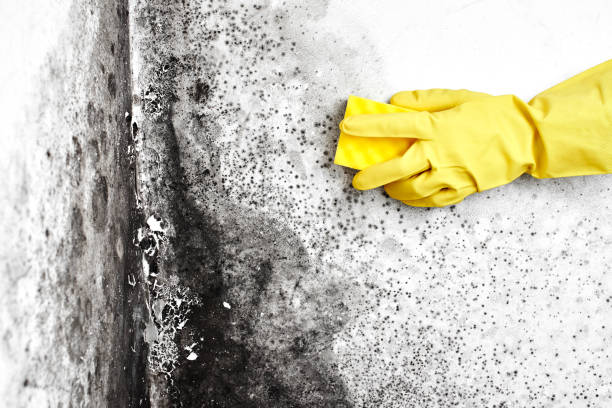 Water Damage Restoration in Grenada, MS