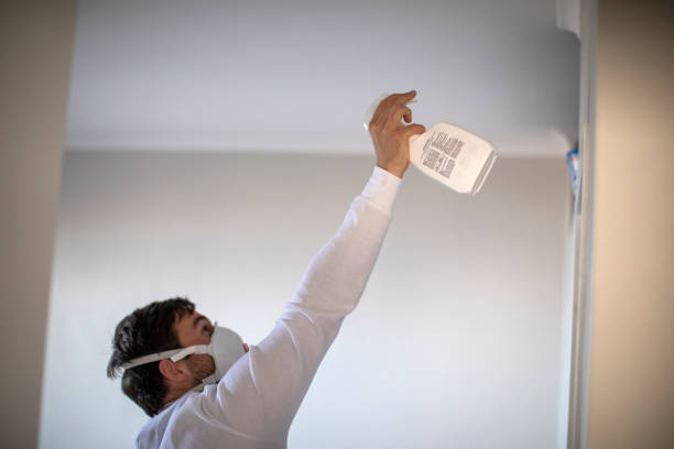Best Mold Removal Near Me  in Grenada, MS