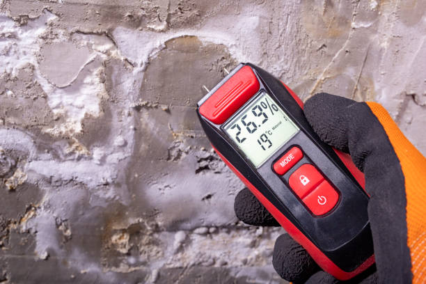 Best Crawl Space Mold Removal  in Grenada, MS