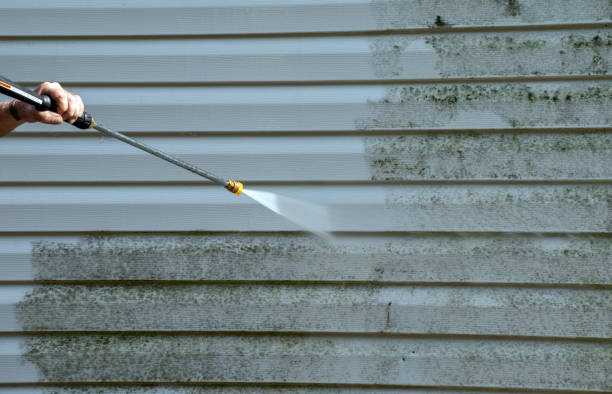 Best Professional Mold Removal  in Grenada, MS