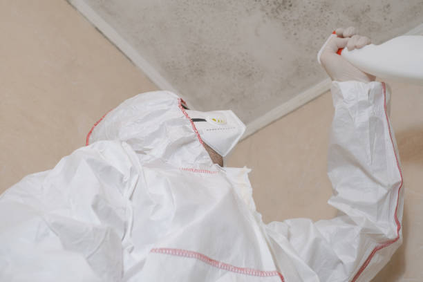 Best Mold Testing  in Grenada, MS
